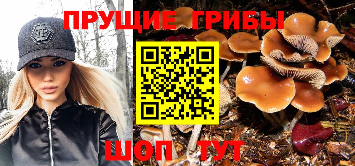 Галлюциногенные грибы Magic Shrooms Соликамск